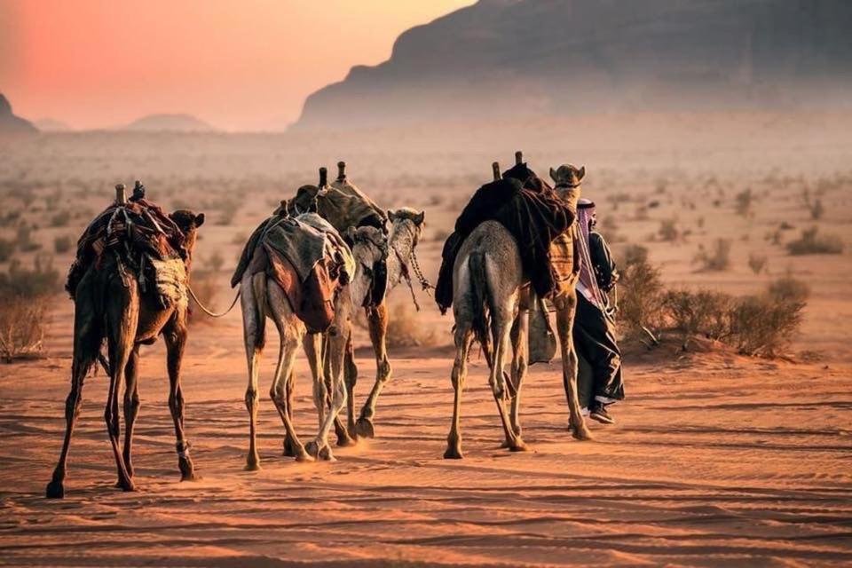 Tamim Luxury Wadi Rum Camp Екстериор снимка