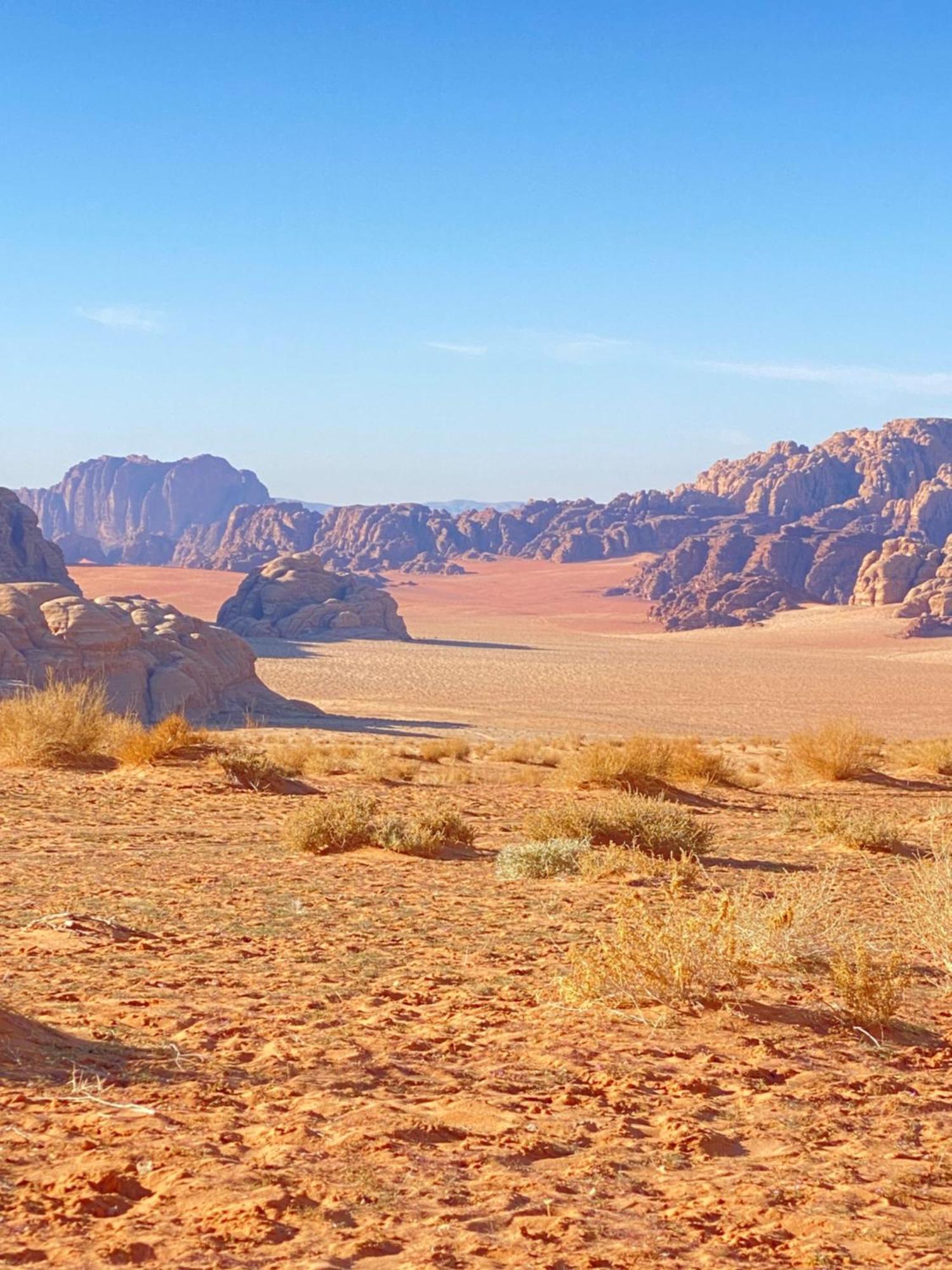 Tamim Luxury Wadi Rum Camp Екстериор снимка