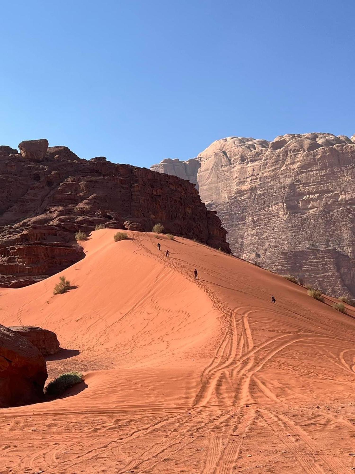 Tamim Luxury Wadi Rum Camp Екстериор снимка